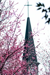 D86FD4B6-9FBC-42E6-B462-005F756C3B2B/L0/001