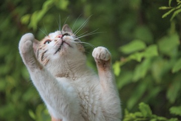 6878