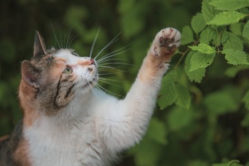 6884