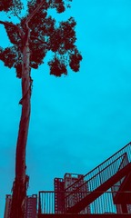 B3775D11-78D1-4012-811C-6A4273DEBCDD/L0/001