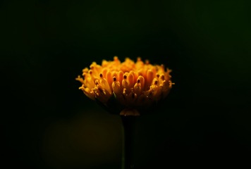 F50B85FE-BB7F-40AD-A1B7-A02AF8240C4C/L0/001