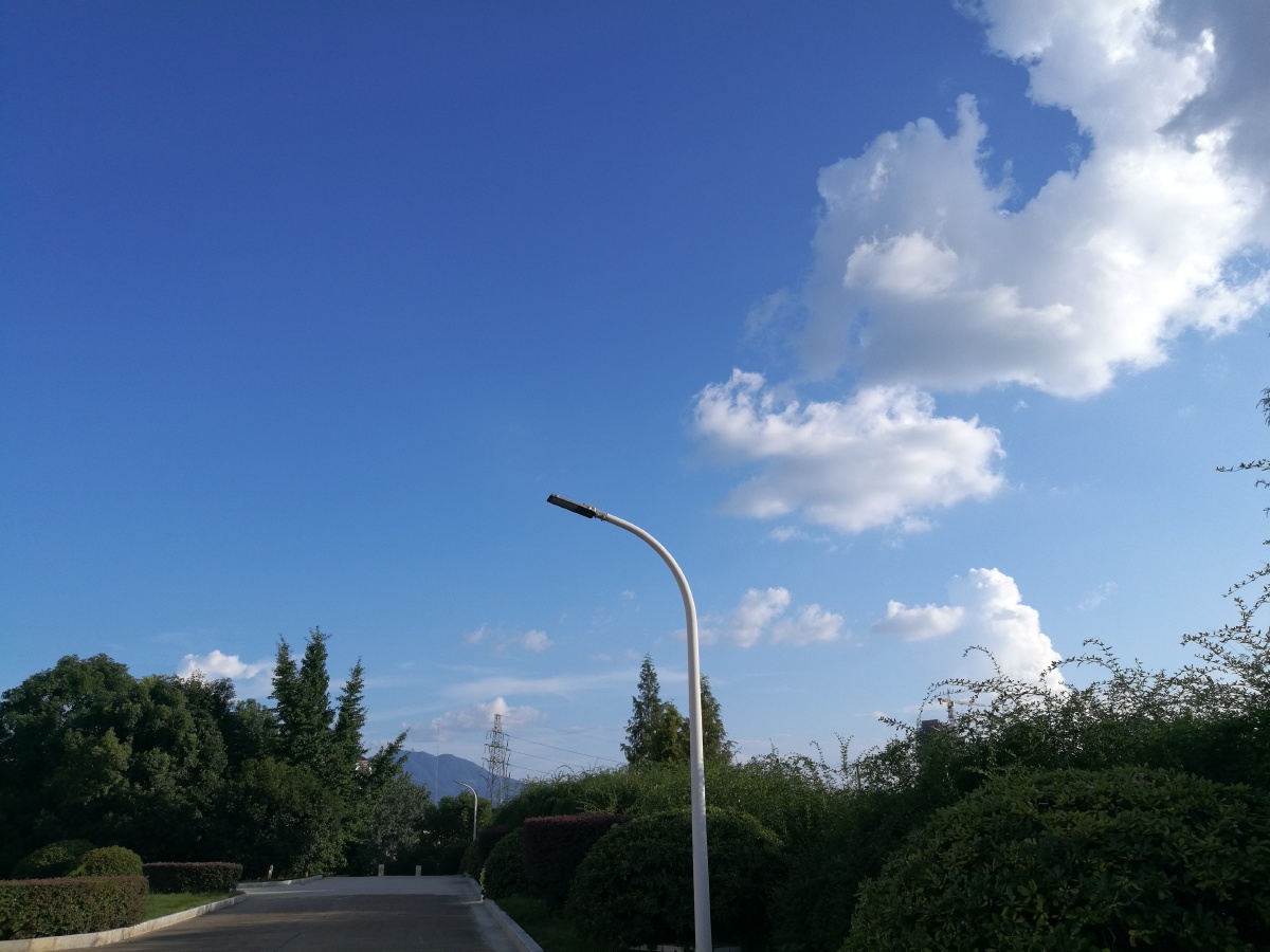 这种感觉就像飞翔在缘分天空,美丽的梦.