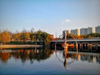 IMG_20161108_161759-01