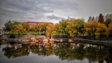 IMG_20161116_162711-01