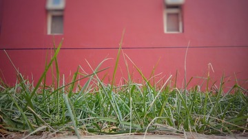 IMG_20161202_094242-01