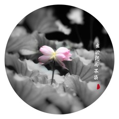 F04D5822-D87B-4D50-9510-4B00354B3EDB/L0/001