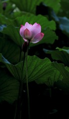 678EE158-2637-4A05-9F6F-9E9F926F7BE3/L0/001