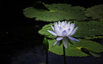 2B5B8873-B597-49AD-BEAC-E8EDA1DAA5F6/L0/001