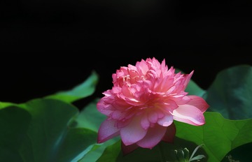 828874B6-8538-4E61-81DA-BD97EFB8E3BE/L0/001