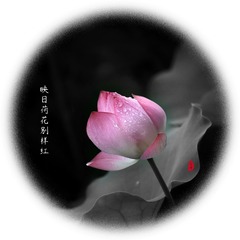4996942D-7CD7-49F5-86D7-C42BE5B041CF/L0/001