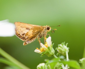 C3830E31-05BD-498D-9352-75A9B199990F/L0/001