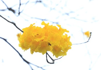 A4627FE5-696D-4AE5-841F-4693625E52C0/L0/001