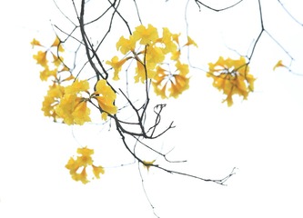 0E35B79E-48BF-4F53-9862-C697E8220B90/L0/001