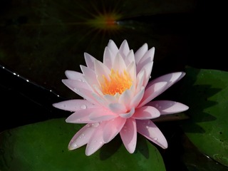 0066DB35-06AA-447C-B321-B73B73BDE84E/L0/001