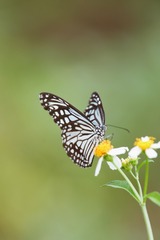 2AAEFB1D-765E-4A66-9BA6-93798D337889/L0/001