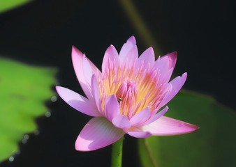 87262062-B76B-4EF9-AFC4-82076C0E43DF/L0/001