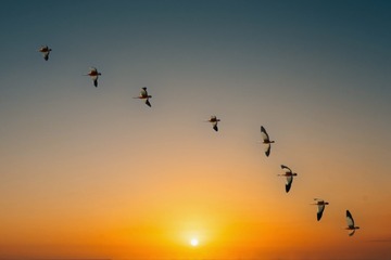 D76D212B-7848-47B3-97C0-88A3B5308DB7/L0/001