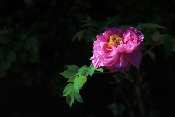 D4DB8D57-05AB-4578-A688-AF02A410E84D/L0/001