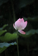 894AE63D-FDF0-46DF-A927-553F799BE878/L0/001
