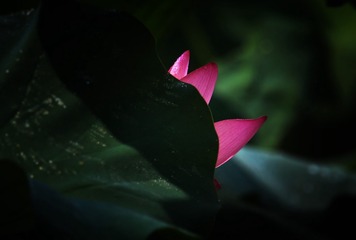 3D3371C0-08AA-4E3E-9F23-8D91442984D5/L0/001