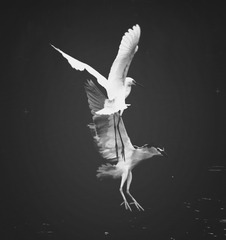 9F133060-CA39-4CCB-B2F0-2C2580CDE023/L0/001