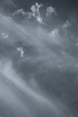 373365