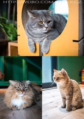 87235