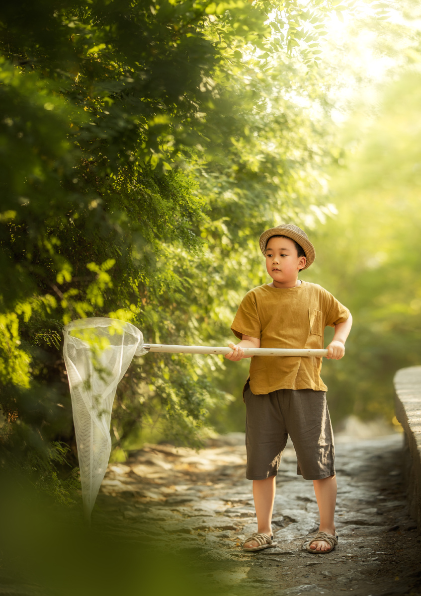 夏天的捕虫少年