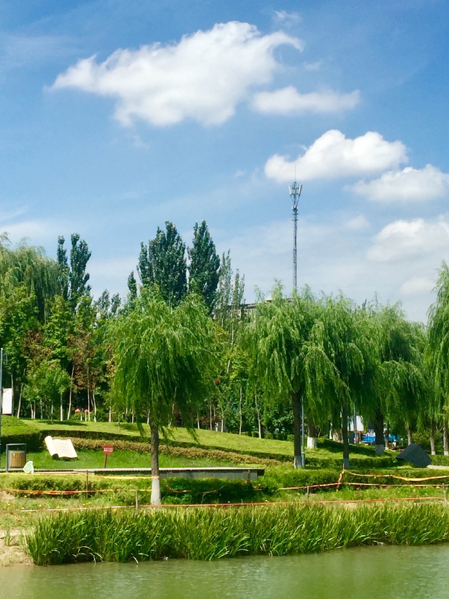 宽城区政府中心公园