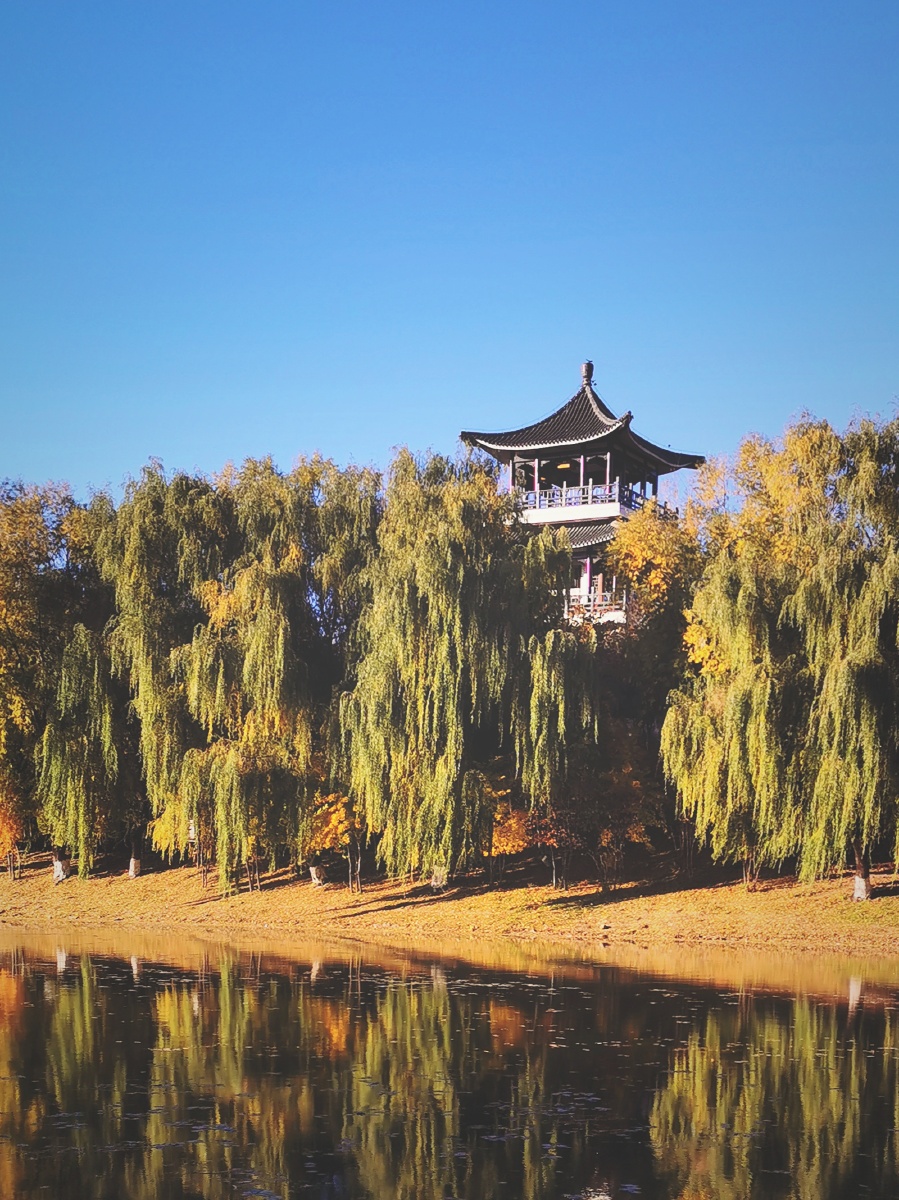 朝阳公园