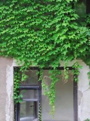 1923
