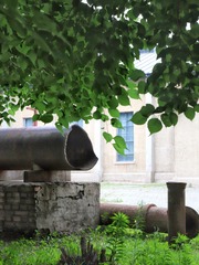 1895