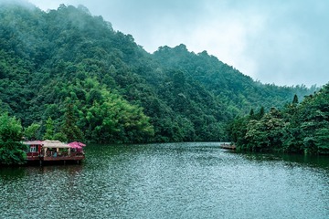 _DSC0461-已增强-降噪