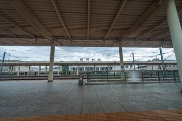 DSC00054-已增强-降噪
