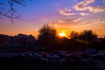 IMGP4691-2