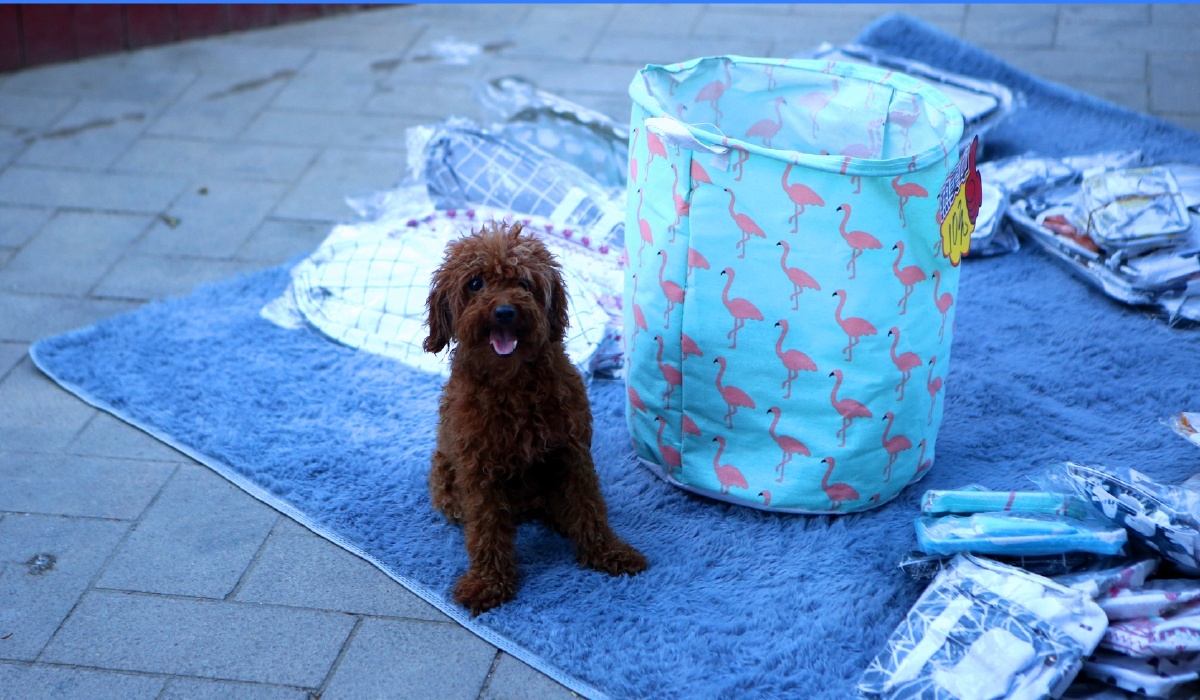 桥南古街古刘家大祠堂古蔡襄祠古色古香只怨深闺人未识