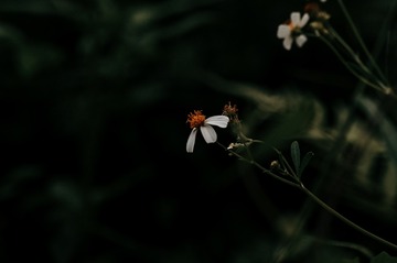 563514