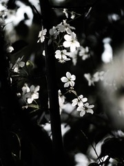 0CD3A262-B0EE-4282-B327-6F1DD816DD05/L0/001