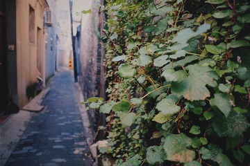 2016-10-03 05.22.59 2