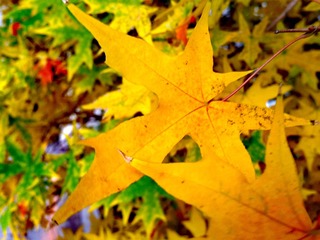 20161019_093822(1)