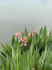 8DB4DBBB-98BD-4484-A98B-77E5966609F8/L0/001