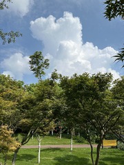 E73A375C-EA8A-46D5-B8C8-A66F8C8DC9A3/L0/001