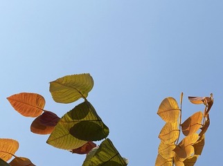 F5274B1C-7F13-4D1E-811F-4EACD70D8182/L0/001