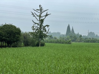 11A563D0-9934-41E1-842A-825295094E7B/L0/001