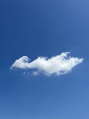 C19CB5C1-58E6-4DDA-8D98-AE45EB6B687B/L0/001