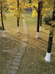 5F1A94CD-E7E9-4408-8845-AECE748906D4/L0/001