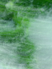 FC7B4ACF-7D0B-4261-AB55-A413A279FD9E/L0/001