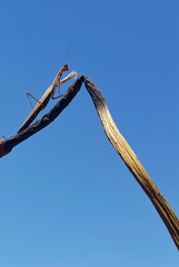 2884380