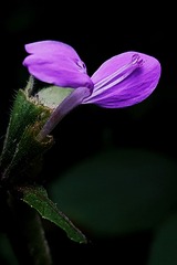 6297973
