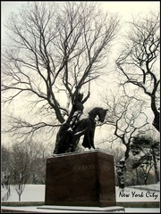 Central Park@NYC